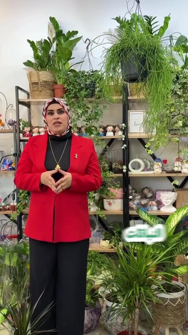 ⸻

🌿 أنواع الدراسينا… لكل زاوية لمستها الخاصة.

تتميز الدراسينا بتنوع أشكالها وألوانها، لذلك تعد من أكثر نباتات الزينة الداخلية انتشارًا وأناقة.

من أشهر أنواعها:
🌱 دراسينا ماسانجيانا (الشريطية).
🌱 دراسينا ليمون لايم.
🌱 دراسينا جانيت كريغ.
🌱 دراسينا مارجيناتا.
🌱 دراسينا كومباكتا.

العناية بالدراسينا:
☀️ تحتاج إلى إضاءة ساطعة غير مباشرة، وتتحمل الإضاءة المتوسطة.
💧 تُروى بعد جفاف أول 3–5 سم من التربة.
🌱 تُزرع في تربة خفيفة جيدة التصريف.
🌡️ تنمو بشكل أفضل في الأجواء الدافئة بعيدًا عن أشعة الشمس المباشرة.
🍃 يُفضّل تنظيف الأوراق من الغبار بين فترة وأخرى للحفاظ على لمعانها وصحتها.

نبات يجمع بين سهولة العناية والأناقة، لذلك يعد خيارًا مثاليًا للمنازل، المكاتب، والديكورات الداخلية. 🌿

📍 موصل – حي الرفاعي قرب مكتبة الآن
📞 ***********#موصل #نباتات
