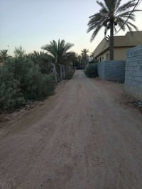 ٢٠٠م • طابو زراعي • سند ٢٥