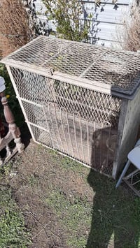 قفص حديد • للبيع • ديكور منزلي