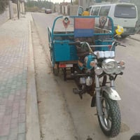 ستوته • موديل ٢٠٢٣ • أوراق أصلية