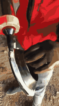 خدمات • مراسلة • اتصال