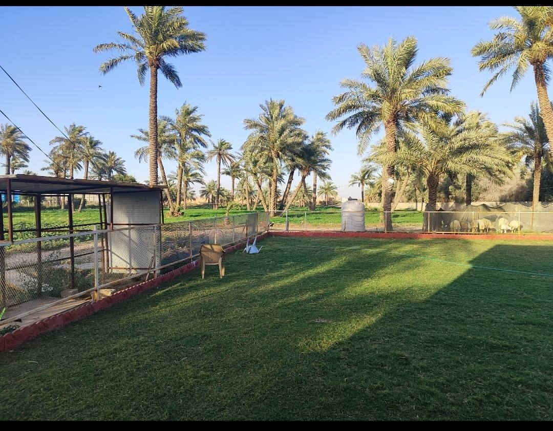 اعلان مزرعه لبيع ٦ونص دونم شاطيئه مسيجه بلوك بلكامل  طابو ٢٥ تحويل مباشر لعنوان جسر ديالى الجديد الكرغوليه متوفر كهرباء ماء سقي وبيهه بيت للترفيه بيهه نخل حديقه مرتبه متعوب عليهه سعر دونم الواحد ١٥٠ مليون وبي مجال تباع بلكامل للاستفسار الاتصال ***********
