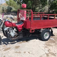 ستوته • مراوس • للبيع