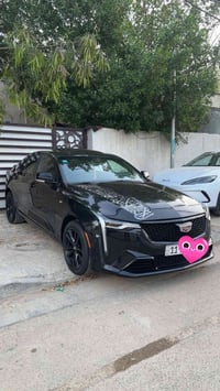 للبيع • مراوس