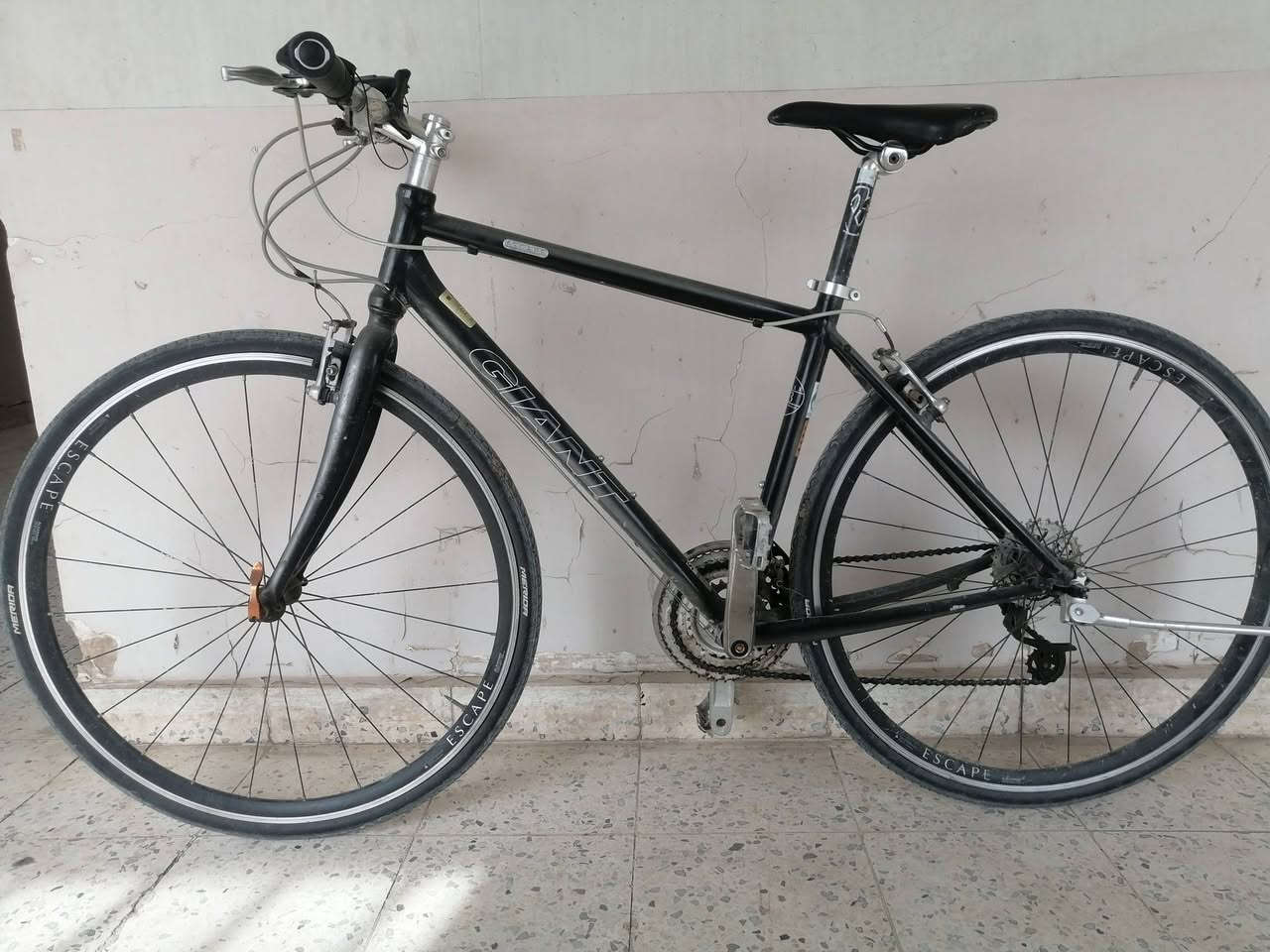 جاينت سكيب R3
سستم شيمانو كله بالكامل
دشلي خلفي 8 أمامي 3
كل قطعه بي جاينت
190
مكاني بغداد


**إذا كنت صاحب هذا الإعلان وتريد حذفه لأي سبب، رجاءا أرسل رسالة إلى الدعم الفني**