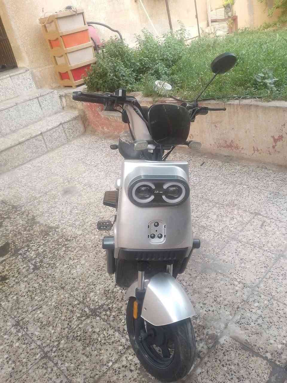 سلام عليكم ماطور للبيع نظيف كامل ماطور كلو شغال سعر 200الف و بي مجال


**إذا كنت صاحب هذا الإعلان وتريد حذفه لأي سبب، رجاءا أرسل رسالة إلى الدعم الفني**
