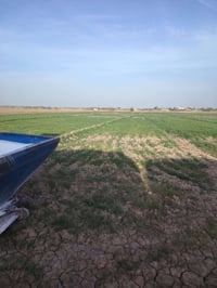 ماكني بابل • حنطة ضمان • ٢٣ دونم