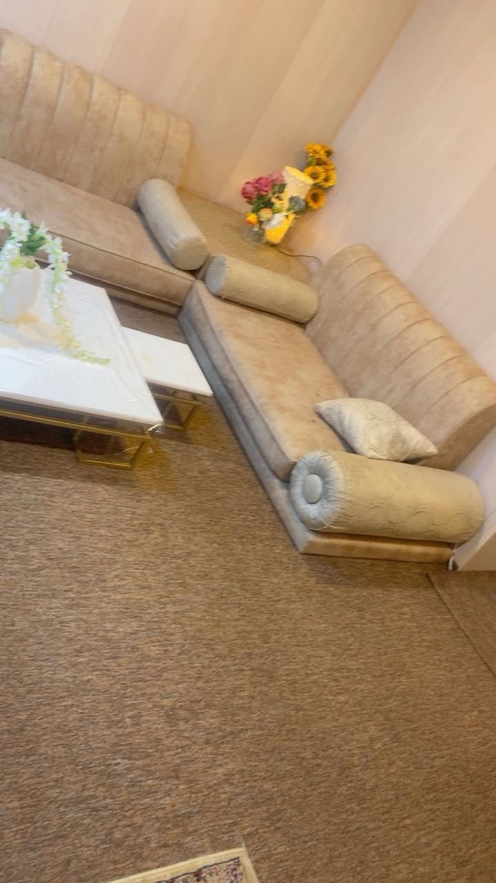 ديوان البيع كويتي السعرز350وبي مجال العنوان جمهوريه شارع المكتب


**إذا كنت صاحب هذا الإعلان وتريد حذفه لأي سبب، رجاءا أرسل رسالة إلى الدعم الفني**