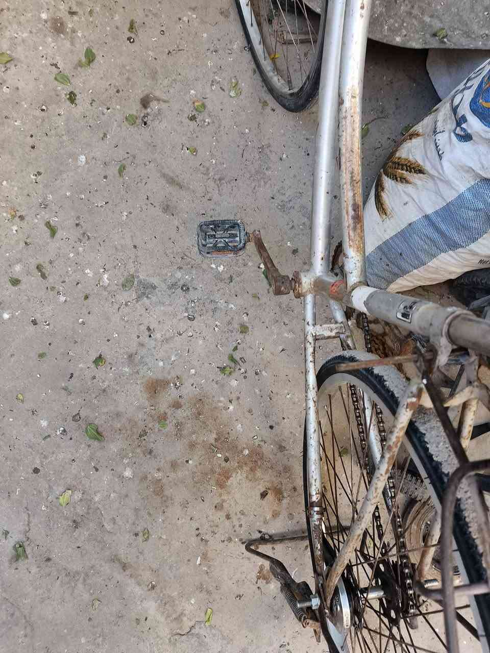 للبيع ب٣٥ مكاني بصرة جزيرة


**إذا كنت صاحب هذا الإعلان وتريد حذفه لأي سبب، رجاءا أرسل رسالة إلى الدعم الفني**