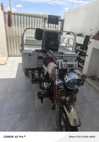 ستوته • موديل ٢٤ • فحل عالي