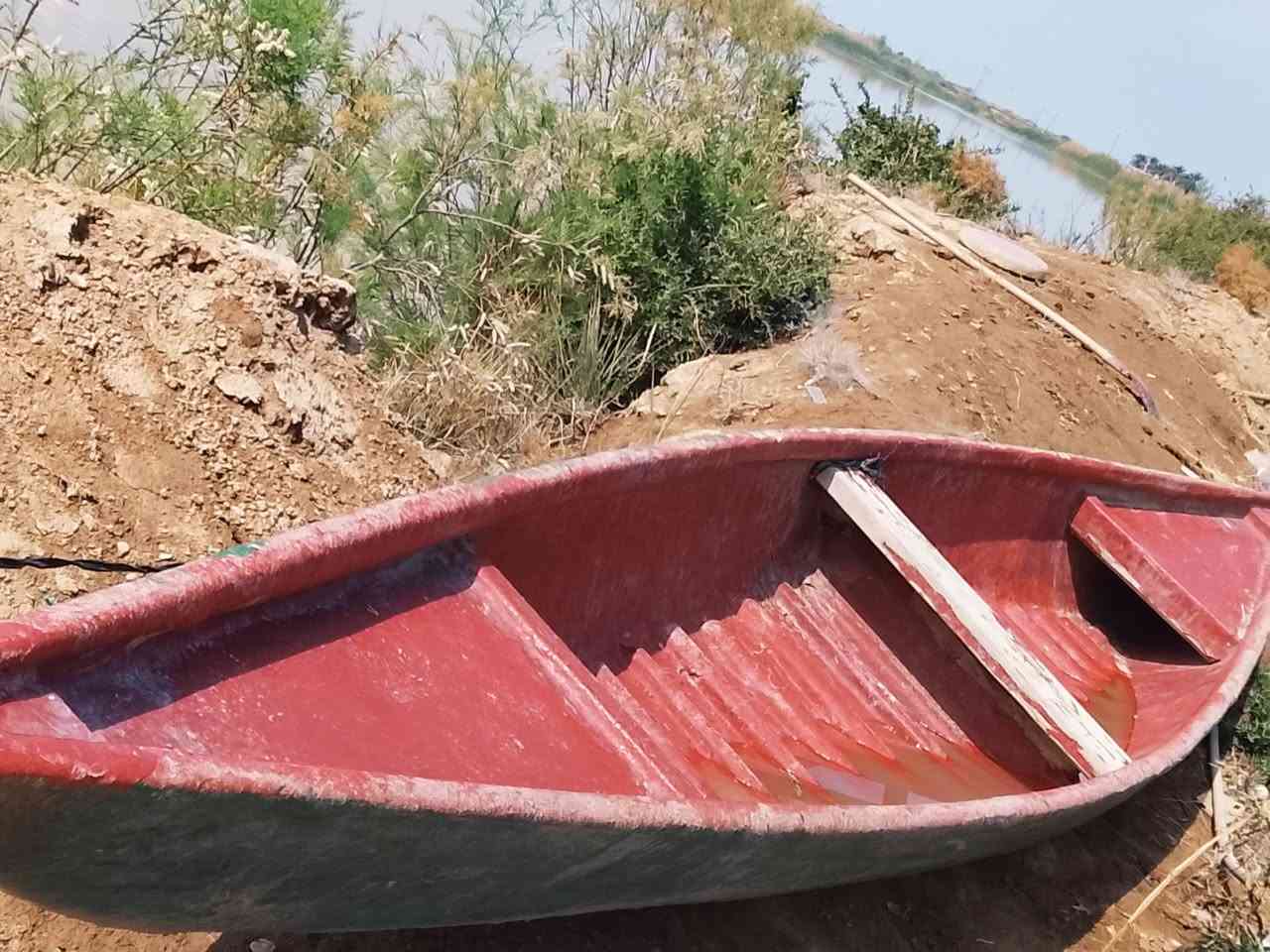 بليته للبيع ميسان كميت سعر 250
رقم الموبايل *********** وبي واتساب
