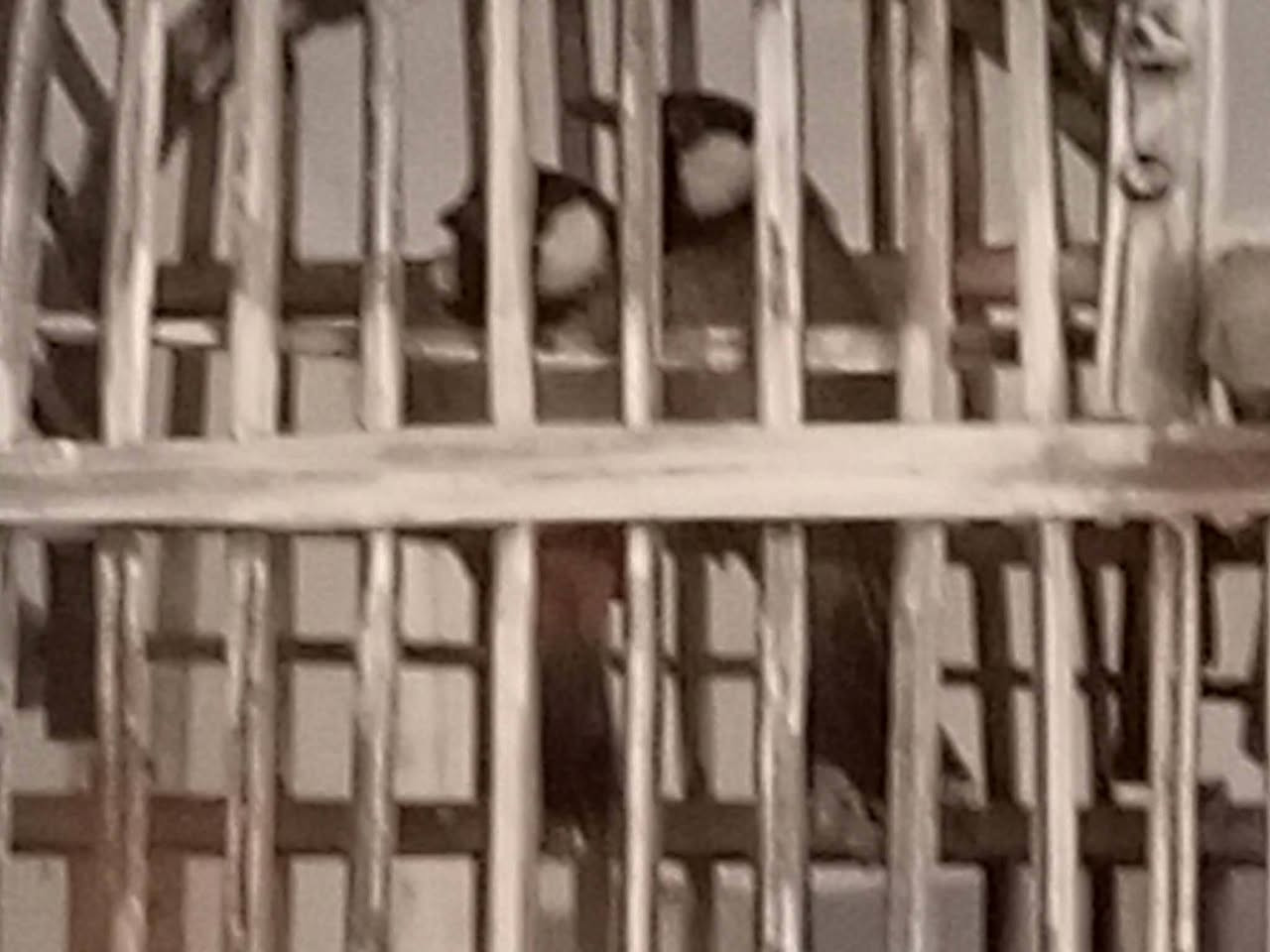 هذا رقمي ***********من رخصت الادمن العنوان بغداد حي العامل تفاصيل داخل الفديو
