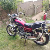 جونده • أوراق • ٢٠١٩