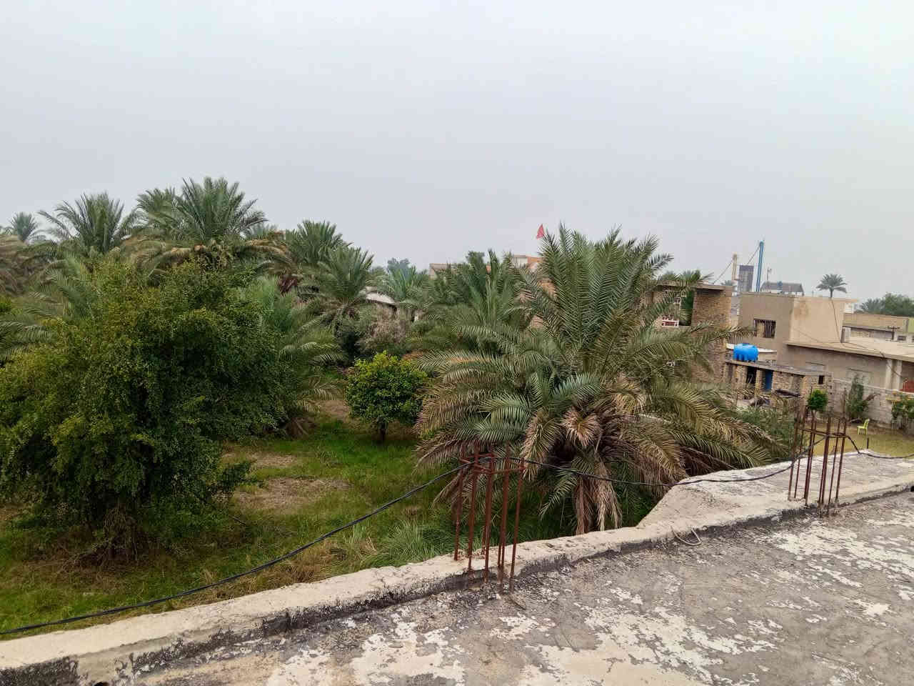 بسم الله الرحمان الرحيم 
مكلف بل نشر
جمعه مباركه 
بستان البيع طابوصرف 
مساحته من 625الى 3500متر
 موقع شمال العزيزيه 
100متر عن معمل الاذره 
خلف محلات مباشره  مدمج فيدو تفاصيل 
مكان يخبل وحدك لاجار ولاجبيل منك الشارع العام من بين محلات تدخل البستانك 
مكلف بل نشر مقابل بيت خوام أهل دهن
*********** رجاء مايشتري لايعامل
