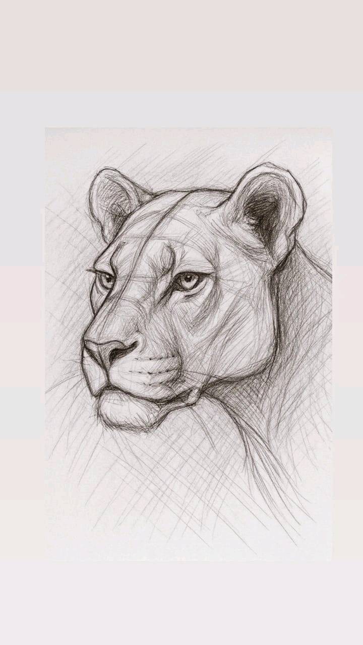 لوحات فنية يدوية تجمع بين الرسم الدقيق والخط العربي بأسلوب معبّر وجذاب. مثالية لتزيين المنزل أو المكتب، وتضيف لمسة فنية وأصالة إلى أي مكان تُعرض فيه.