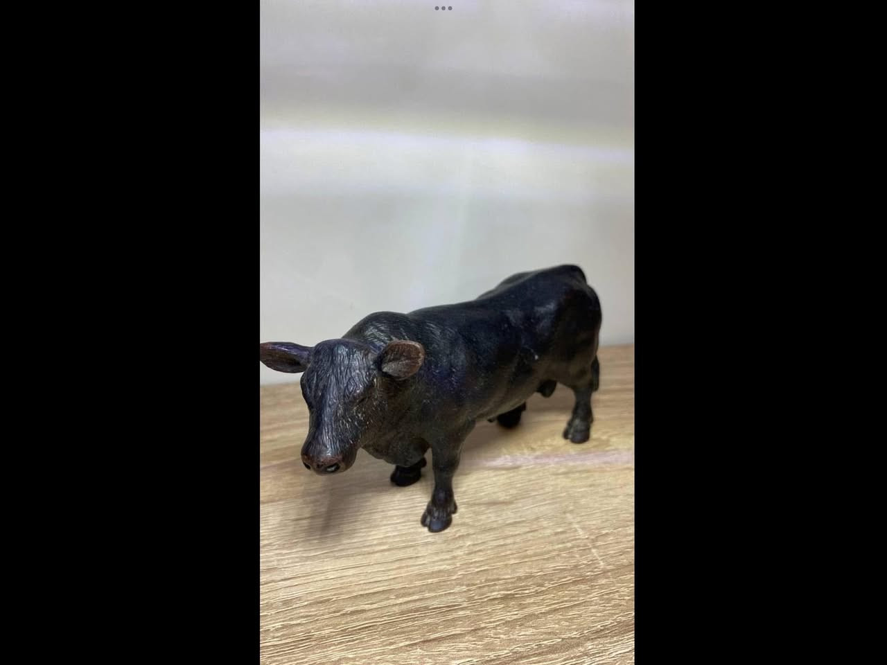 أبقار شلايش اصلية للبيع


**إذا كنت صاحب هذا الإعلان وتريد حذفه لأي سبب، رجاءا أرسل رسالة إلى الدعم الفني**