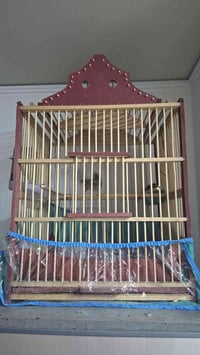 قفص • نهايته