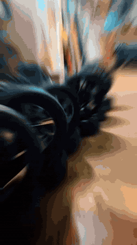 السلام عليكم الحمد الله تم وصََول حاويه الئ مجمع عباس المياحي موديلات حديثه فقط 2023_2025 تلورايد بجميع الوانهه وموديلاتهه بلسايد سانتا كروز سبورتج كونا توسان وجميع انواع السيارات الكوريه (وارد أمريكي فقط) 
#العنوان_بغداد_الجديده_الحي_الصناعي_مجاور_مطعم_ححنش
***********
***********
