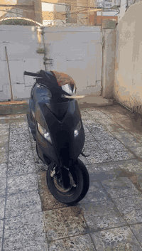 ماكس ثعلب GTR دراجه شغاله سلف هندر  كهربائياته كله شغاله ناقصه تريشه وحده الصفح   السعر ٤٥٠ وبيه مجال مكاني القاهره ***********
