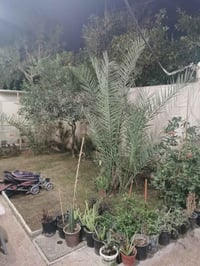 يالله بيت للبيع في منطقة الكريعات حي الربيع طابو الصرف مساحه١٥٦م طابقي...
