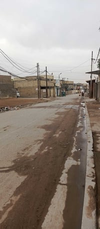 الببع • ٣٠٠م • شارع رئيسي