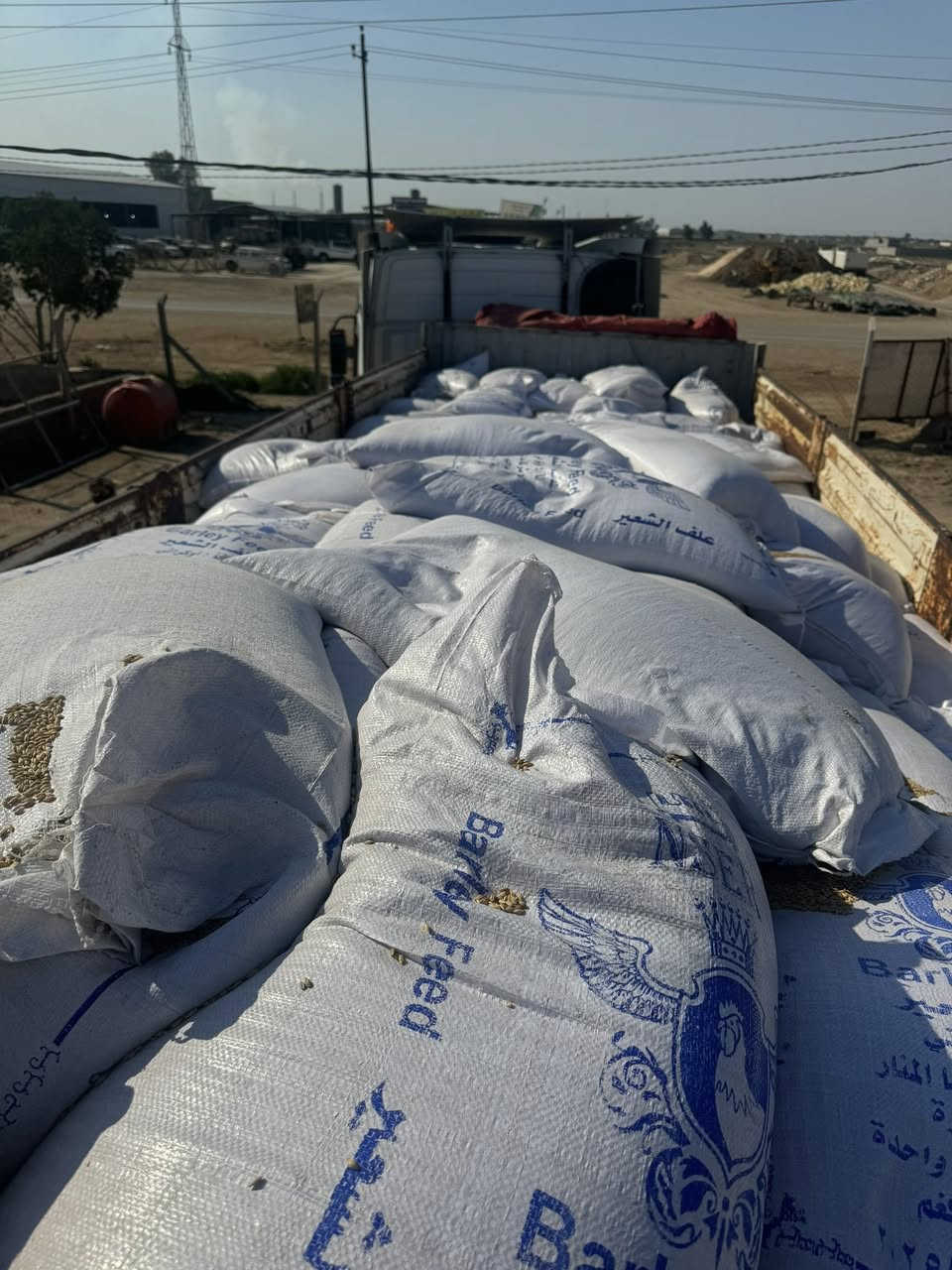 تم وصول شعير مستوارد
واسط _ قضاء الزبيديه
***********
