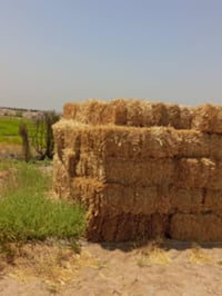 يوجد كبس للبيع العنوان واسط الصويره الزواج ب 4 يوجد توصيل داخل الصويره...