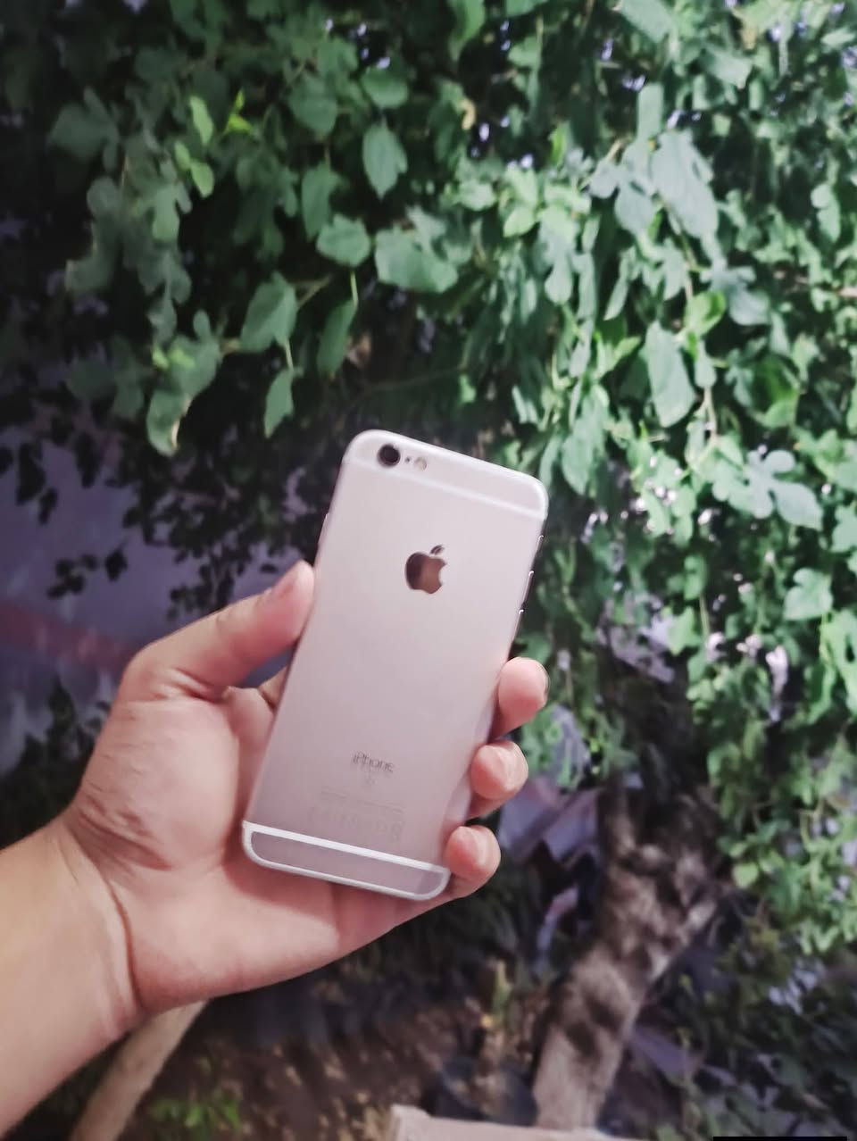 قطعه نادره 🤩
ايفون 6s 🌹
ذاكرة 16 🌹
بطارية 97 🌹
جهاز استخدام لطفلك 🌹
ألعيب شريحة متشتغل ميتفرمت 🌹
وشاشة مكسوره سعر الاصلية 10 الاف 🌹
إلسعرررر 25 الف مكان كلجو 🌹


**إذا كنت صاحب هذا الإعلان وتريد حذفه لأي سبب، رجاءا أرسل رسالة إلى الدعم الفني**