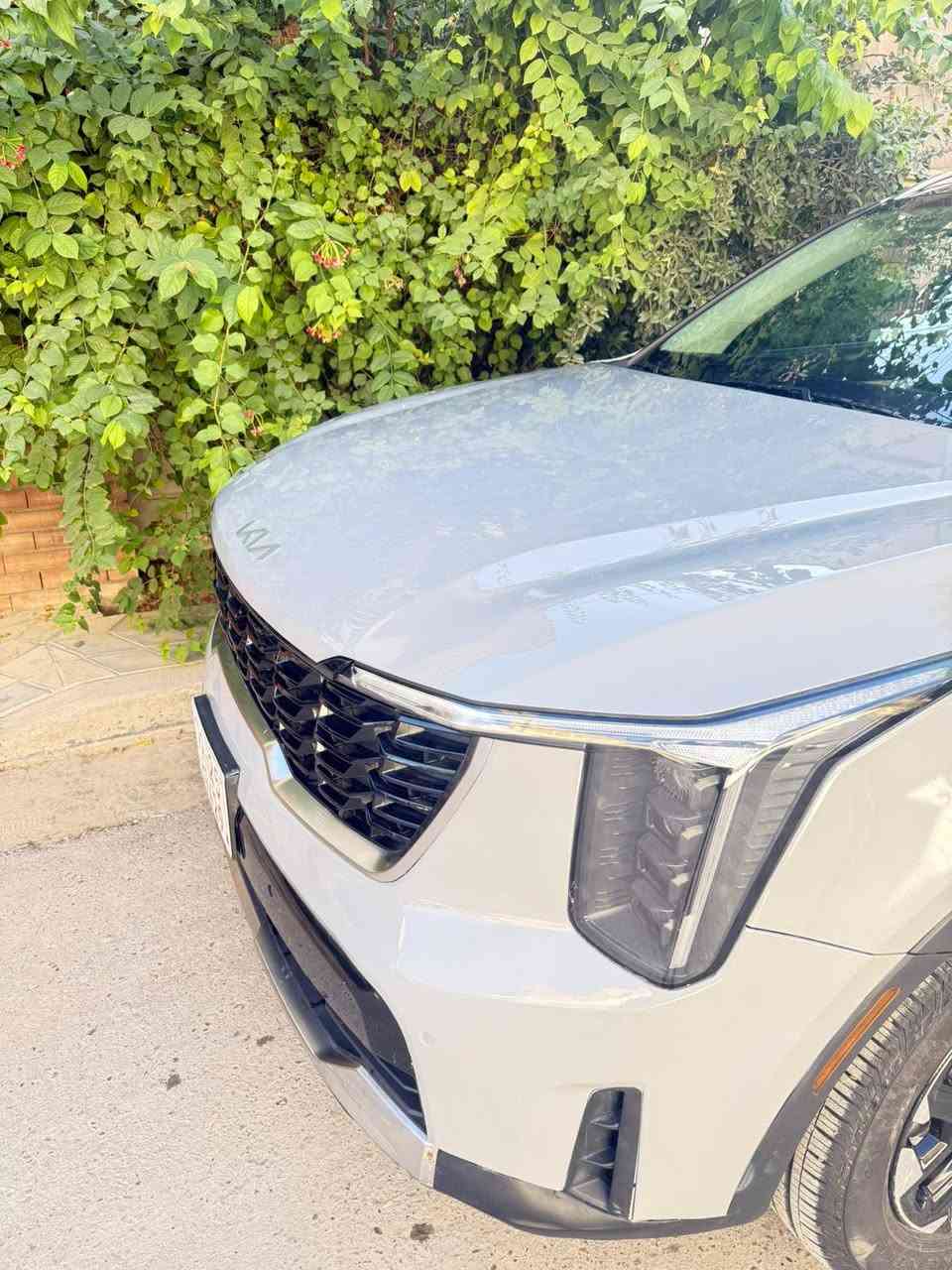 السلام عليكم
سورنتو امريكي موديل ٢٥ ماشيه 6 الف فقط
 لون اسمنتي
رقم اربيل بأسمي ترقيم جديد
حادث بسيط جدا موضح بالصور بنيد صبغ وربع دعاميه 
لا شخوط لا تكحيل لا بارد السياره موس
كلشي بيها بلاد من لايتات من راديترات بشرط غاز الشركه بدون دواخل نهائي
مواصفتها 🚙
محرك ٢٥٠٠ 
٧ راكب والكشنات الخلفيه تنطوي كهرباء
رادار امامي خلفي جانبي
حساس امامي خلفي
 بنوراما
 داخل جلد اوف وايت
 تدفئه كشن
 هزاز ستيرن 
شحن واير ليس
وباقي المواصفات معروفه
مكان السياره بغداد الكرخ سعرها 275 وبي مجال بسيط جدا
***********
