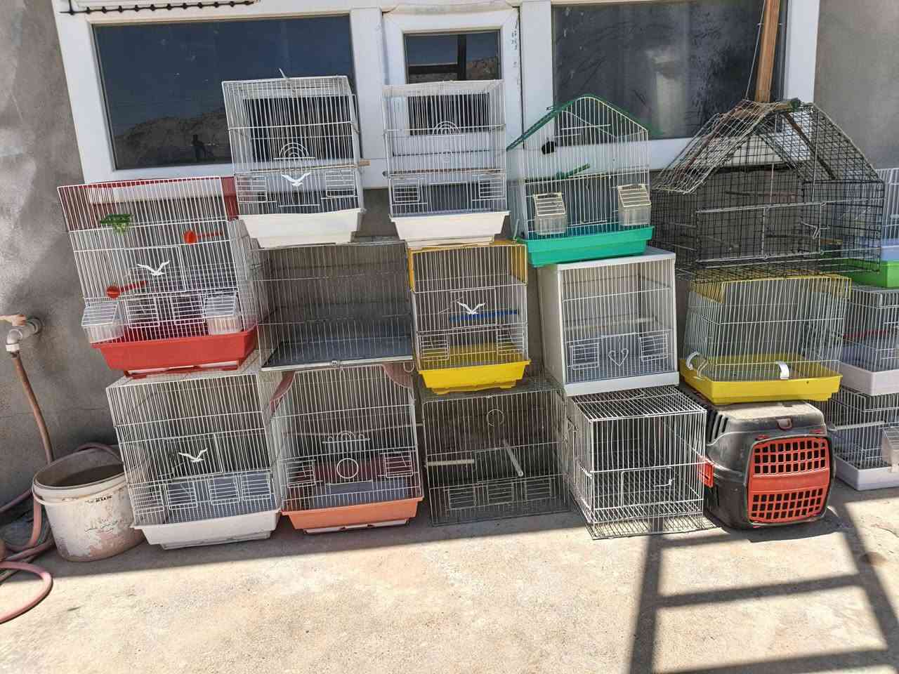 14 قەفەز تازە و بێ شکاوی زۆر کەم بەکار هاتوون سعری 50 هەزار
لە دەربەندیخان


**إذا كنت صاحب هذا الإعلان وتريد حذفه لأي سبب، رجاءا أرسل رسالة إلى الدعم الفني**