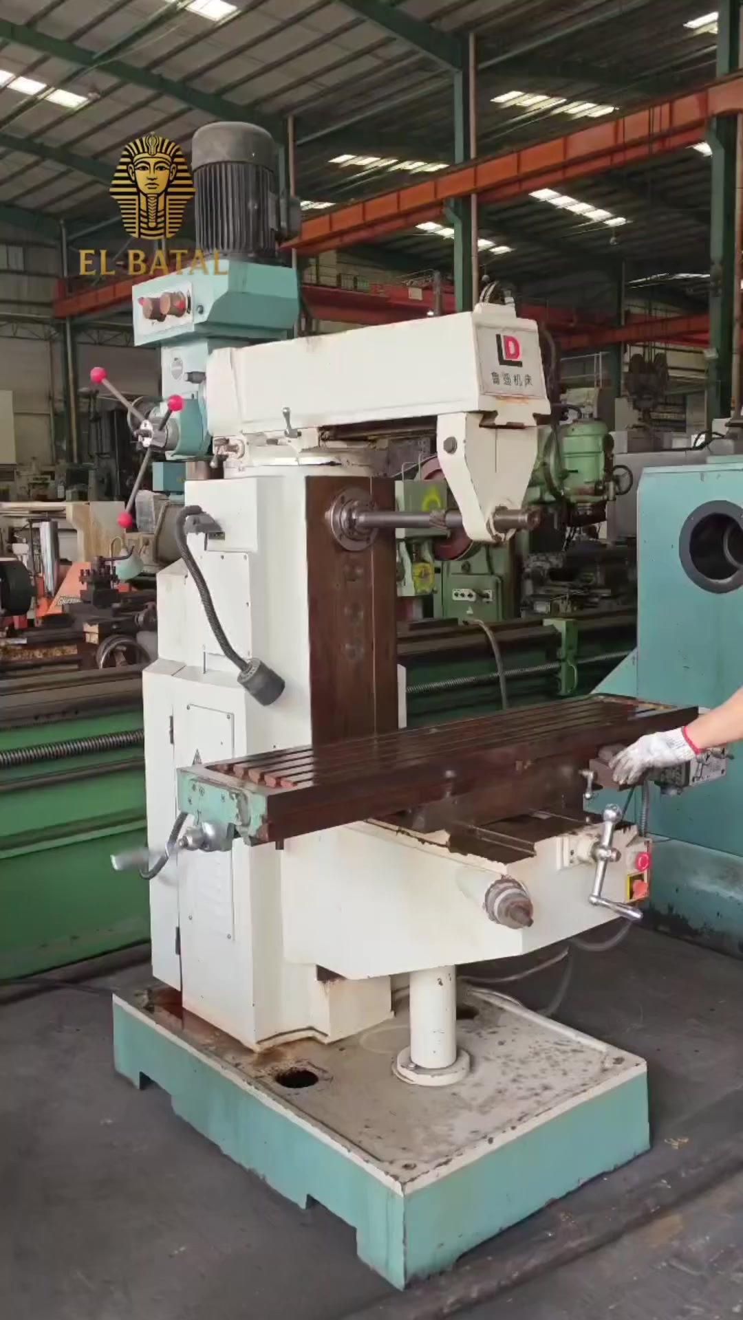 البطل بيحاول دايماً يسهل عليك مهمتك 
كل المعدات استيراد 
لو عايز تفتح مشروع وتبداء ..كل اللي عليك انك تجيلنا زياره 
❤️😉

عناوين الفروع ف مصر 
الفرع الاول : شبرا الخيمه - نزله ام بيومي - بجوار الدائري 
لوكيشن الفرع 
https://maps.app.goo.gl/pysLNUVcnBnKi4SN7?g_st=ipc
الفرع التاني : قليوب - الطريق البطئ - ارض غبور - مخزن البطل 
لوكيشن الفرع 
https://maps.app.goo.gl/ZrNtMhWD5SwGi7sp6?g_st=com.google.maps.preview.copy
الفرع التالت : طريق العاشر بلبيس -بعد ميدان الطياره - بعد تالت بنزينه علي اليمين 
لوكيشن الفرع 
https://maps.app.goo.gl/cKed221FxVrBytRp7?g_st=ipc
الفروع شغاله كل ايام الاسبوع معادا الجمعه 
فرع قليوب اجازه الحد
للاستفسار 
01210214557
01220630303


**إذا كنت صاحب هذا الإعلان وتريد حذفه لأي سبب، رجاءا أرسل رسالة إلى الدعم الفني**