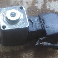 جوزة مشط • ستيرن • صقر شغاله