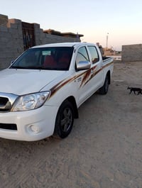 فلاونزه • ٢٠٠٩ • برقم بصره
