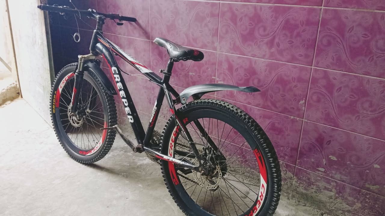 سلام عليكم ورحمة الله وبركاته
باسكل كيمو حجم 27 السعر 80 وبي مجال الطيبن 
الاستفتار الاتصال عل الرقم ***********
