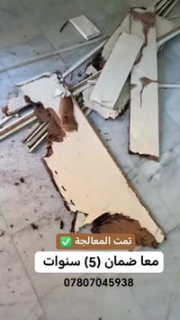 تمت بنجاح معالجة حشرة 🐜) الأرضة (النمل الأبيض) باستخدام تقنيات متطورة ...