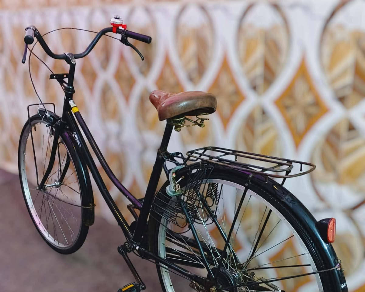 باسكل ياباني حاوية جديد جدا تايرات جدد استوني شادهن درجة أولى لايت ثلجي قفل اصلي جاهز السعر النهائي ٧٥ بدون عمله وماكو هيج سعر مكاني ديوانية اتصال ***********
