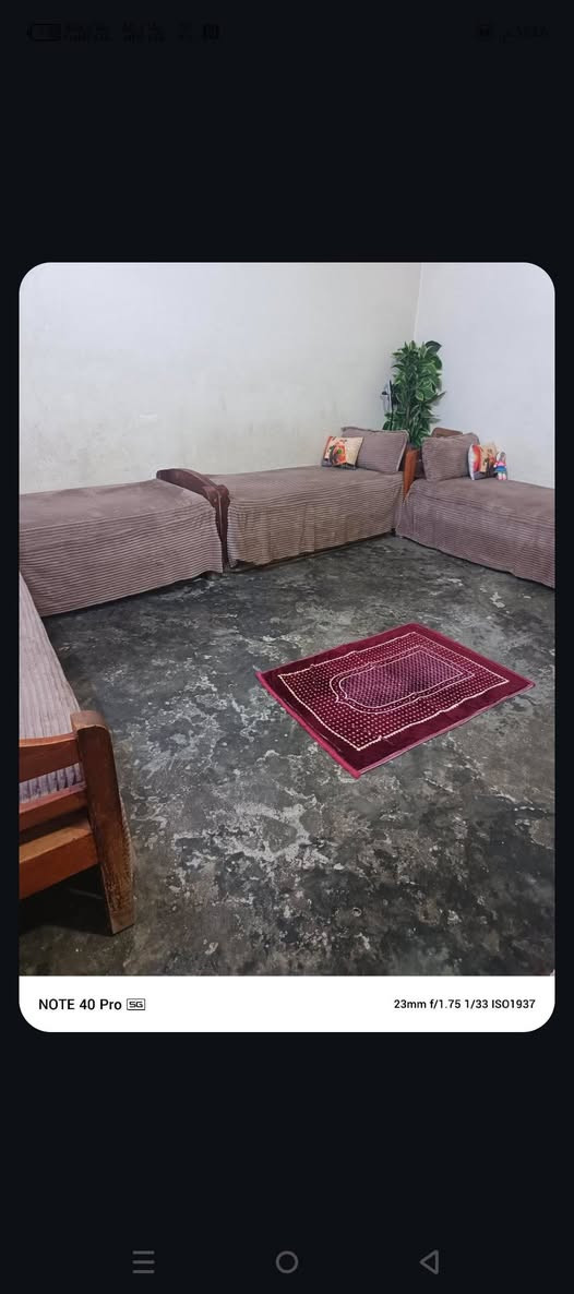 عندي تخوته اربعه للبيع هما مطارحهم وماخدهم كاملين سعر الواحد ٦٠ الف


**إذا كنت صاحب هذا الإعلان وتريد حذفه لأي سبب، رجاءا أرسل رسالة إلى الدعم الفني**
