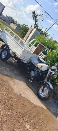 ستوته دايوان • ٢٠٢٠ • بدون اوراق