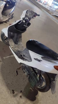 دراجه دولفين جديده كلش كلشي ماعوزه تفحصه وعل شرط سعرها 500وبيه مجال لل...