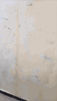 انتاج من شغلي صباغ داخل وخارج وطلس عام ومعالجة رطوبه وعازل اسطح وكافة ...