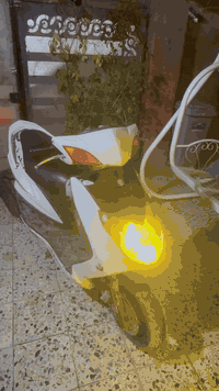 ‏سلام عليكم دراجة سكنس فحل نازل واحد عنوان بغداد الدوره سعر 400 الرقم ***********
