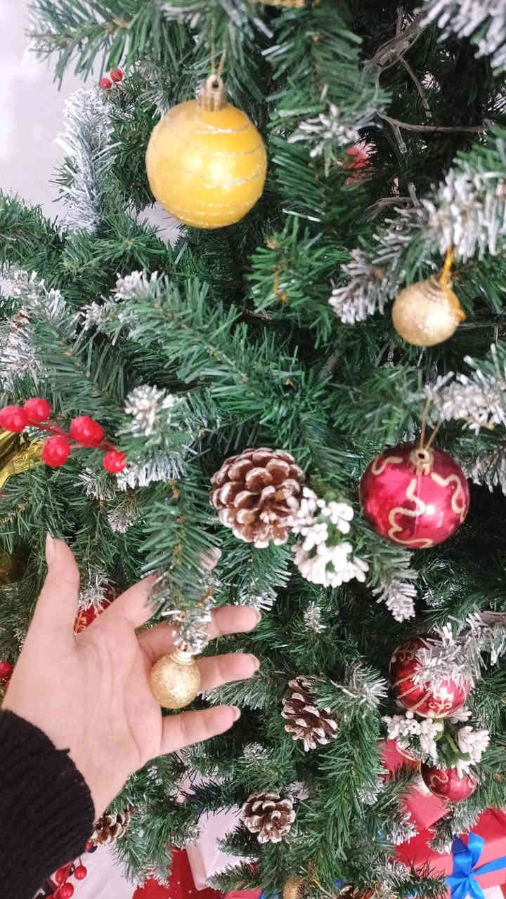 عنوان داموك طشاش 

رقم ***********
