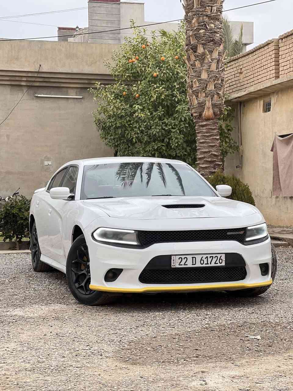 آلسلام عليكم
دوج چارجر للبيع //موديل 2019
رقم اربيل ب اسمي تحويل مباشر
ضرر جاملغ خلفي صبغ  بدون دواخل
بونيد محدث فقط بدون طخه اماميه
موصفات SXT  /محدث GT كت كامل
مكان السياره صلاح الدين الشرقاط
السعر // 218 وبيه مجال// ☎️ ***********
