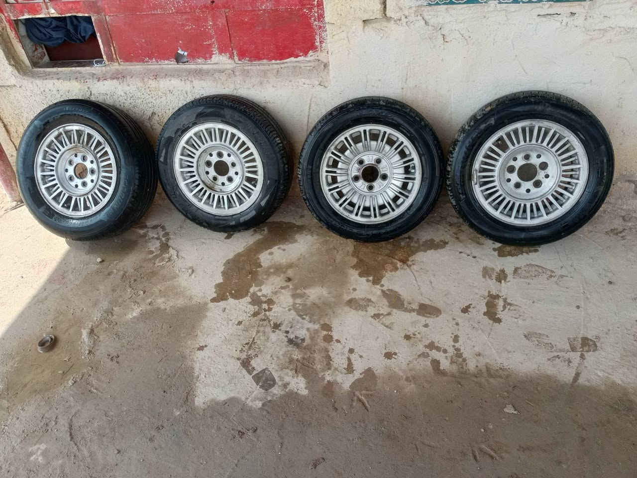 للبيع تخم وياله 14اخواني السعر 200بدون عمله ***********تاىر نظيف
