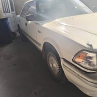 هارتوب • ١٩٨٩ • موصل المعارض