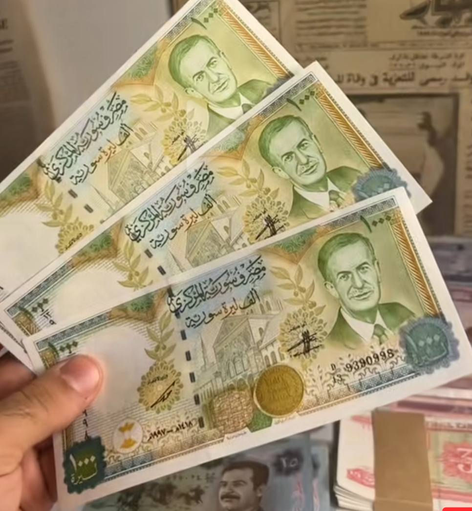 اعلى سعر للبيع


**إذا كنت صاحب هذا الإعلان وتريد حذفه لأي سبب، رجاءا أرسل رسالة إلى الدعم الفني**