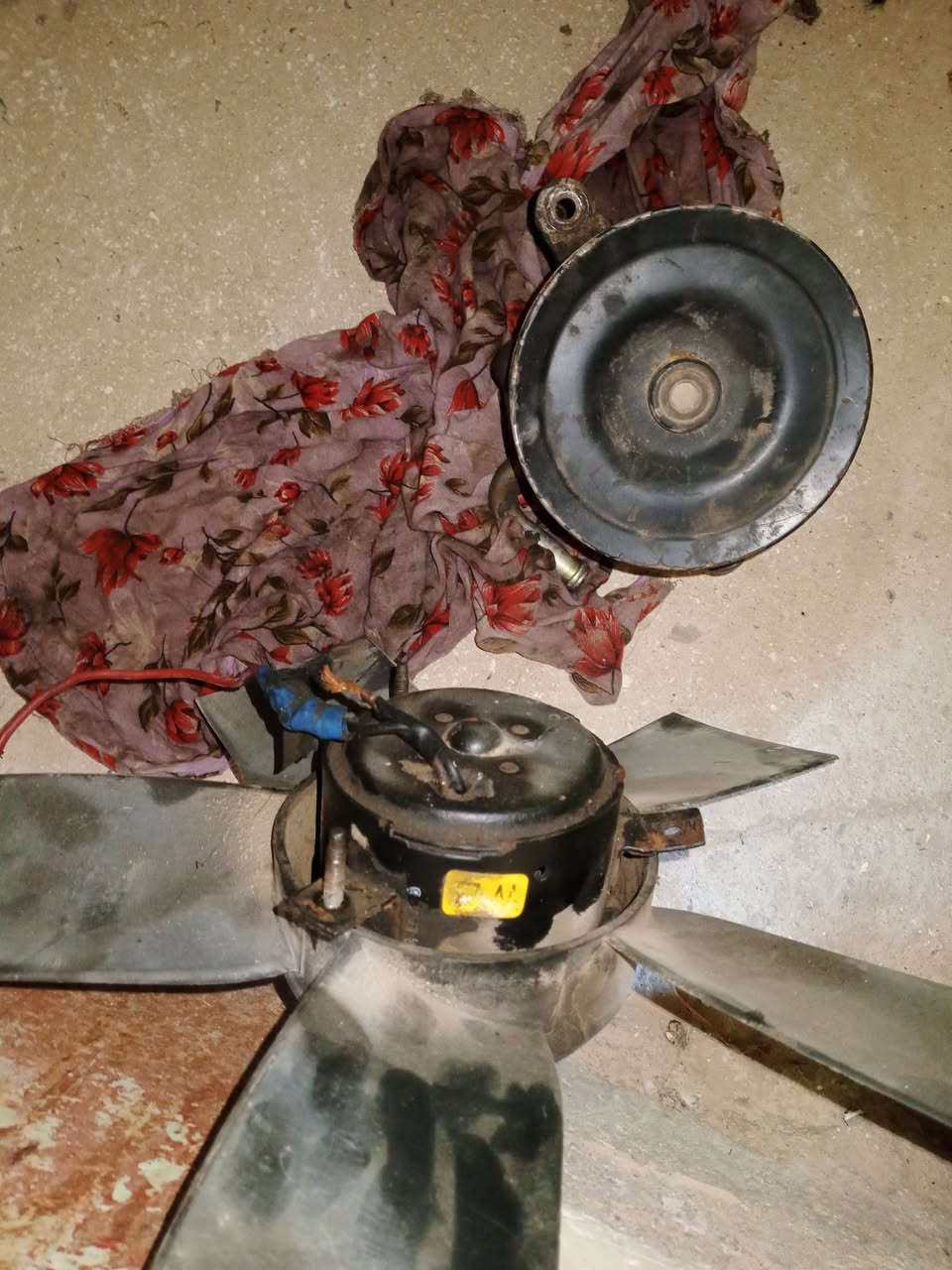 باور سترين شغال على فحص مروحه برنس شغاله عل فحص للبيع مكان الانبار خالدية


**إذا كنت صاحب هذا الإعلان وتريد حذفه لأي سبب، رجاءا أرسل رسالة إلى الدعم الفني**