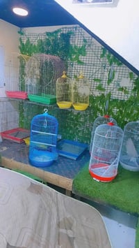 قفاص حديد • العمارة ابرمانة • واتساب