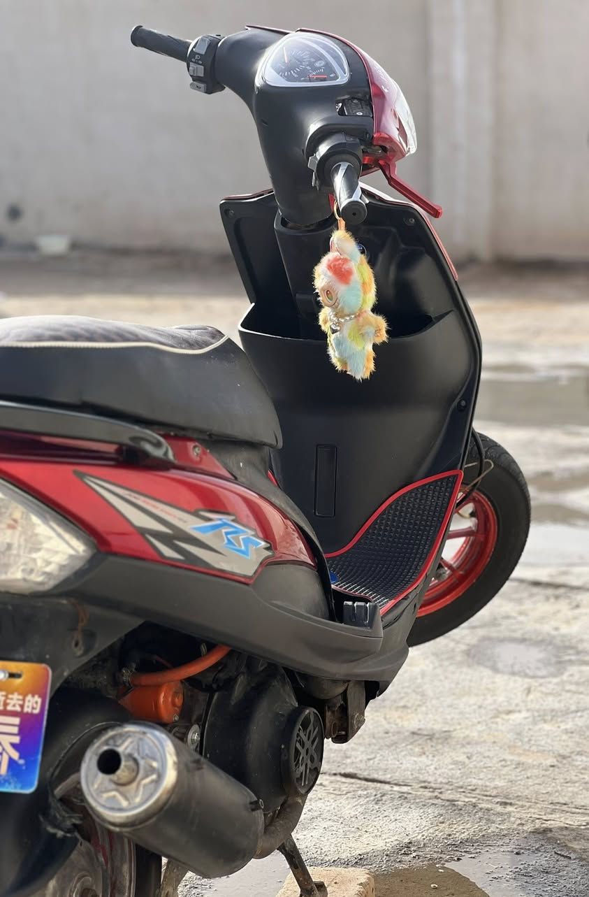 السلام عليكم دراجه ماكس عدله للبيع مفتوحه مره وحده دراجه كلها شغاله من طول لطول كهربائيات كله شغاله دك هندر بيه شلعه تأكل الكاع سعر 700 وبيه مجال مكاني البصره الزبير هذا رقم واتس اب موجود ***********
