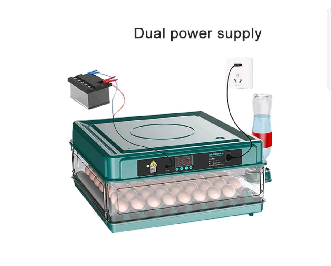 متوفر فقاسات فول اوتماتيك تشتغل نظام كهرباء باتري سعة 48 بيضه منشأ صيني درجه اولى سعرها 80 الف توصيل مجاني لجميع المحافظات 
 
